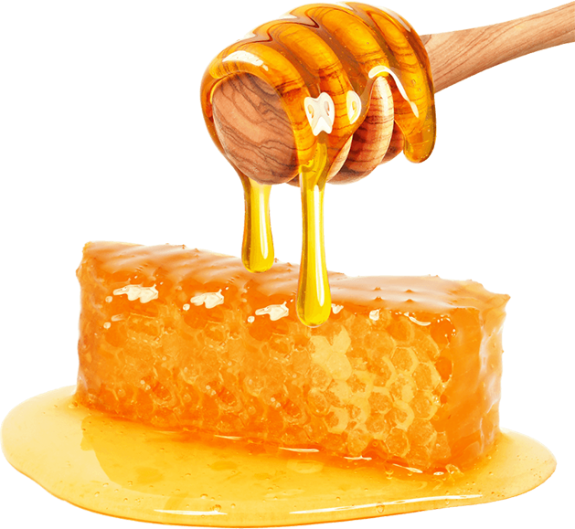 Pure Natural Honey – Mubarak Foods Traders
